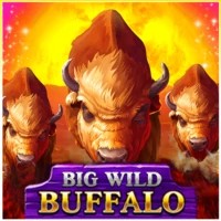 Big Wild Buffalo slot logo by Belatra Games at BetCrown CasinoBig Wild Buffalo